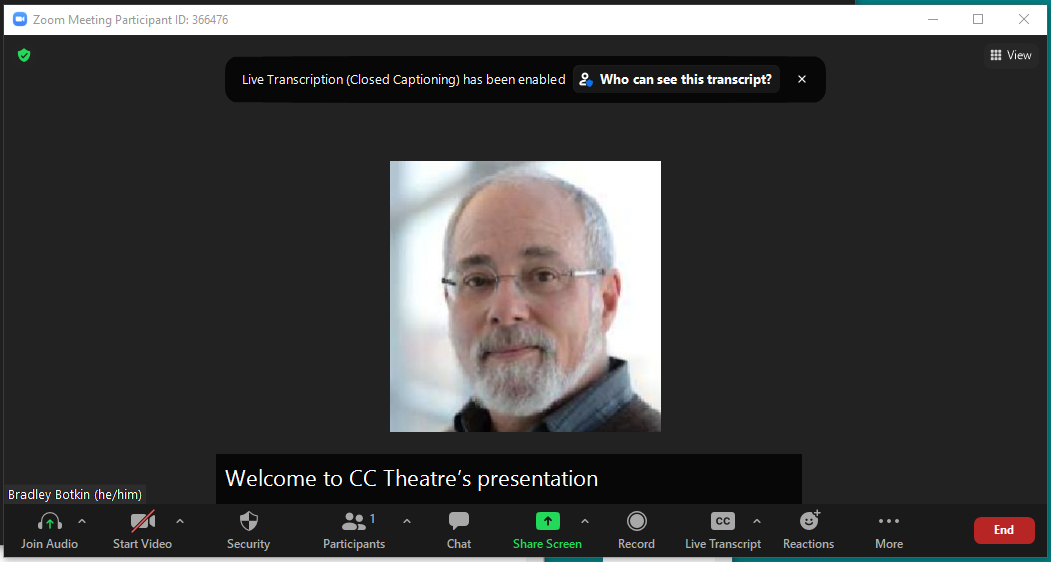 Zoom Figure 4: zoom meeting window with caption at bottom
