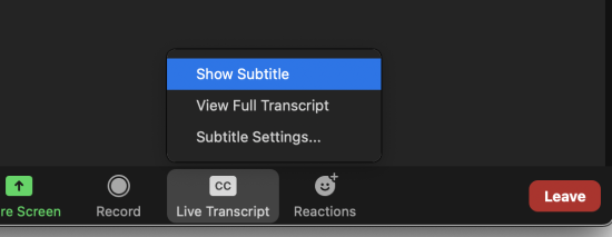 Zoom Figure 3: Zoom User Show Subtitles